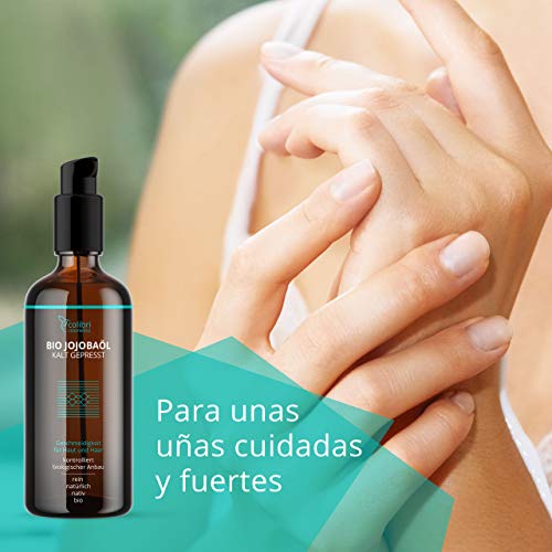 Aceite de jojoba puro al 100 % 100ml - prensado en frío - para tener un pelo saludable, piel suave y uñas fuertes - adecuado para el rostro - envase protegido del sol - fabricado en Alemania