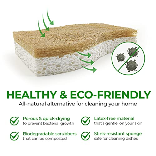 AIRNEX Esponja de cocina natural biodegradable – Esponja de celulosa compostable y nuez de coco – Paquete de 12 esponjas ecológicas para platos