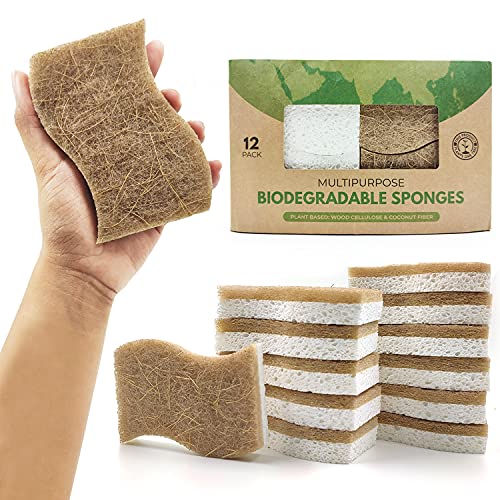 AIRNEX Esponja de cocina natural biodegradable – Esponja de celulosa compostable y nuez de coco – Paquete de 12 esponjas ecológicas para platos