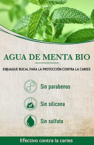 alkmene Enjuague bucal con agua de menta orgánica - Proteccion 6 veces mayor contra la caries y el sarro - Sin alcohol, siliconas, parabenos, PEGs, SLS ni SLES - 3x 500 ml