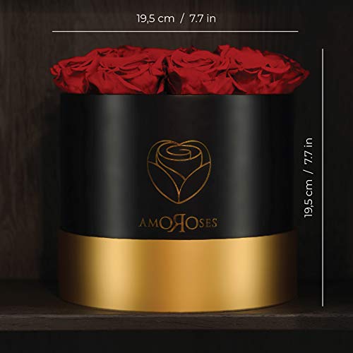 Amoroses 12 rosas reales estabilizadas que duran años - Flores preservadas Ideas para regalos, Rosas Eternas para Ocasiones Especiales (Caja Negra con Rosas Rojas)