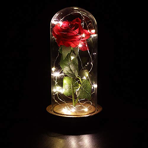 Anaoo Rosa Bella y la Bestia, Regalos San Valentin Originales para Mujer, Novia, Cumpleaños, Boda, Aniversario Regalo para Dia de Madre Cumpleanos, con Una Cúpula Cristal y Una Tarjeta