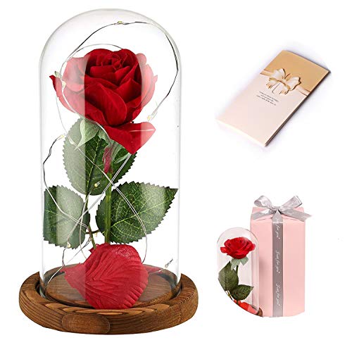 Anaoo Rosa Bella y la Bestia, Regalos San Valentin Originales para Mujer, Novia, Cumpleaños, Boda, Aniversario Regalo para Dia de Madre Cumpleanos, con Una Cúpula Cristal y Una Tarjeta