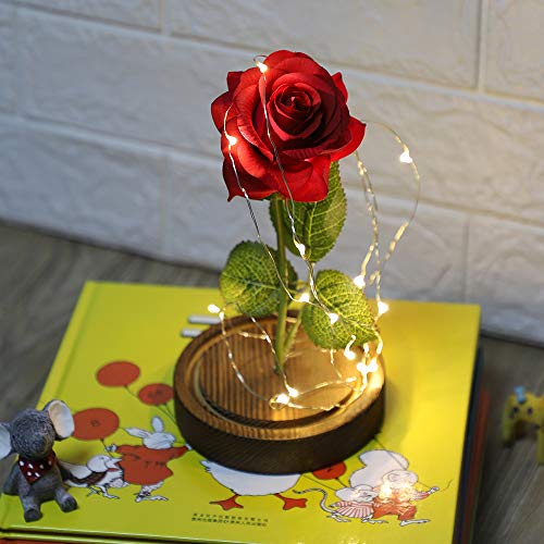 Anaoo Rosa Bella y la Bestia, Regalos San Valentin Originales para Mujer, Novia, Cumpleaños, Boda, Aniversario Regalo para Dia de Madre Cumpleanos, con Una Cúpula Cristal y Una Tarjeta