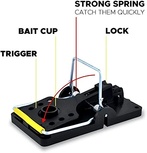 ASPECTEK Trampas para Ratones,Profesional Trampa para Ratas Reutilizable,Fácil y Seguro, Rápido, (Paquete de 2)