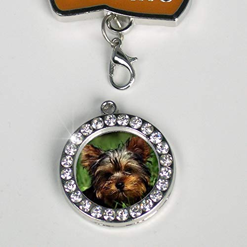 Banberry Designs Terrier Adorno de Navidad – Me Encanta mi Terrier con una Foto Encanto de Huellas – Perro Adorno de Navidad