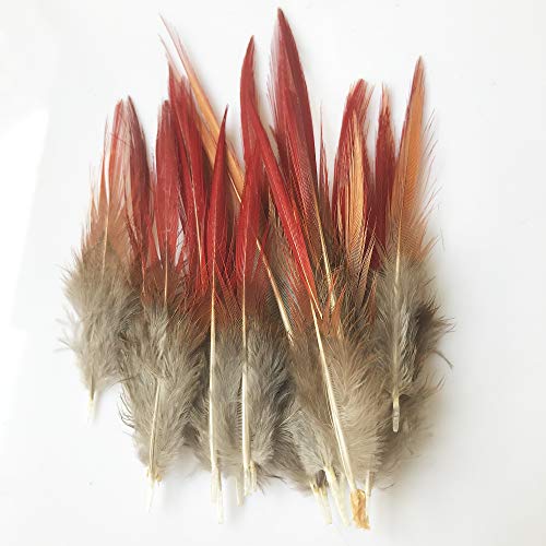 Bene Omnia 10 plumas de faisán naturales rojas doradas con punta quemada, disfraz de boda (10-15 cm) Item Name (aka Title)