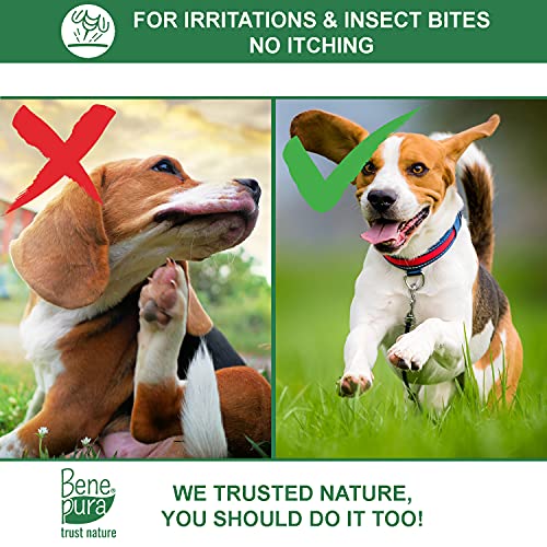 Bene Pura Trust Nature Bálsamo para Mascotas 100% Natural Anti-irritación - para Patas, Nariz y Piel - para Perros y Gatos