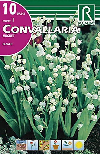 Bulbo de convallaria (muguet) (bolsa con 10 bulbos)