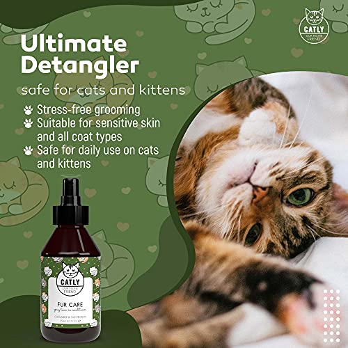 Catly Spray Desenredante y Desodorante para Gatos con Aloe Vera - Acondicionador Natural para Gatos sin Aclarado - Hidrata y Suaviza Todo Tipo de Pelajes - Alternativa Práctia a Champu Gatos, 250ml