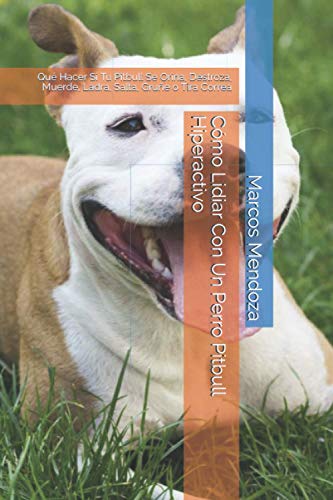 Cómo Lidiar Con Un Perro Pitbull Hiperactivo: Qué Hacer Si Tu Pitbull Se Orina, Destroza, Muerde, Ladra, Salta, Gruñe o Tira Correa