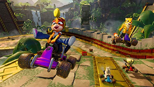 Crash Team Racing Nitro Fueled - Edición Nitros Oxide