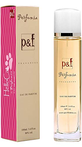 Eau de Parfum infantil by p&f Perfumia, Vaporizador (HELLOCAT, 100 ml)