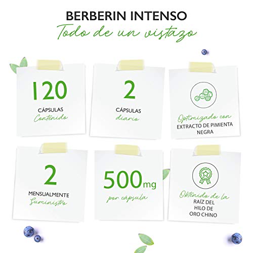 Extracto de Berberina HCL - 120 Cápsulas con 500 mg - Berberina Natural + Extracto de Pimienta Negra - Probado en laboratorio (Pureza y Contenido de Ingredientes Activos) - Alta Dosis - Vegano