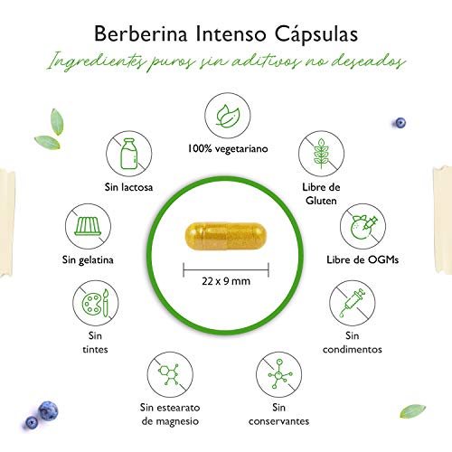 Extracto de Berberina HCL - 120 Cápsulas con 500 mg - Berberina Natural + Extracto de Pimienta Negra - Probado en laboratorio (Pureza y Contenido de Ingredientes Activos) - Alta Dosis - Vegano