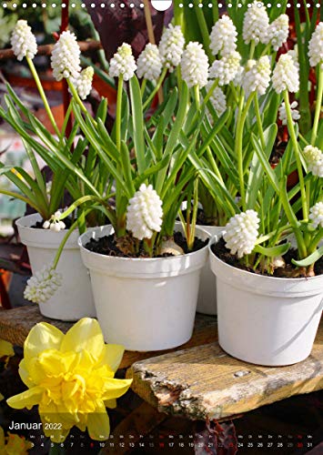 Ferien im Garten (Wandkalender 2022 DIN A3 hoch)