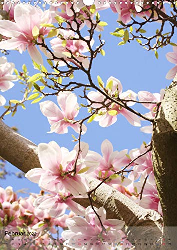 Ferien im Garten (Wandkalender 2022 DIN A3 hoch)