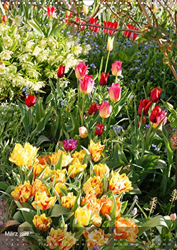 Ferien im Garten (Wandkalender 2022 DIN A3 hoch)