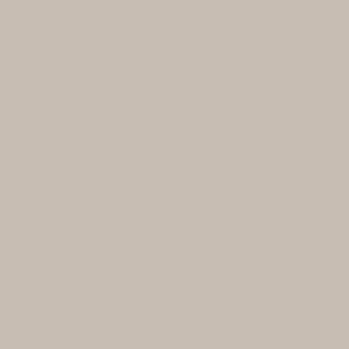 Fleur Paint 12054 - Pintura mineral (base agua, 130 ml) color dove grey