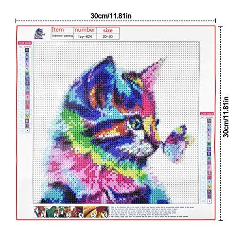 HQdeal 30 * 30cm DIY 5D Diamante Pintura Kits, Gato y Mariposa 5D Diamond Painting Completo Bordado Punto de Cruz Diamante Craft Decoración del hogar (A)