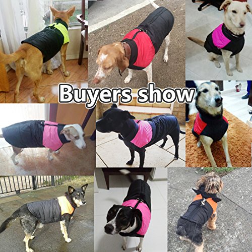 Idepet Abrigo aprueba de Agua de Perro para Invierno Ropa para Perros pequeños medianos y Grandes Mascotas Tallas S M L XL XXL 3XL 4XL 5XL