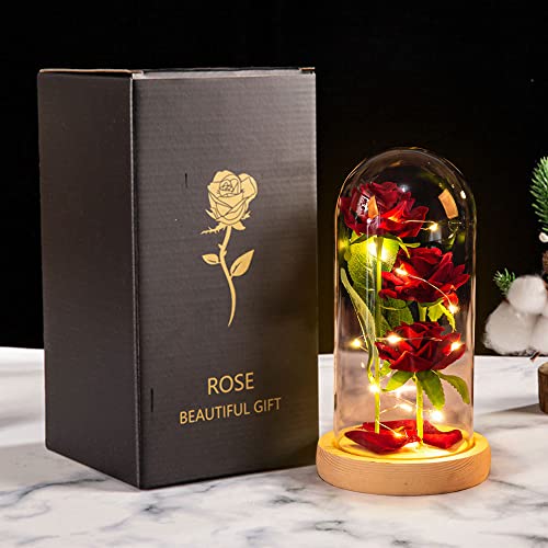 Jooheli La Bella y la Bestia Rosa, Kit de Rosas con Elegante Cúpula de Cristal y Base Pino, Rosa Eterna con Luces LED, Rosa Eterna Regalos para San Valentín/Aniversario de Bodas/Día de la Madre