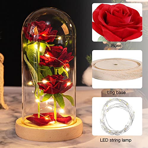 Jooheli La Bella y la Bestia Rosa, Kit de Rosas con Elegante Cúpula de Cristal y Base Pino, Rosa Eterna con Luces LED, Rosa Eterna Regalos para San Valentín/Aniversario de Bodas/Día de la Madre