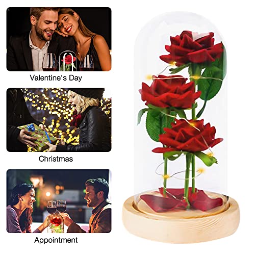 Jooheli La Bella y la Bestia Rosa, Kit de Rosas con Elegante Cúpula de Cristal y Base Pino, Rosa Eterna con Luces LED, Rosa Eterna Regalos para San Valentín/Aniversario de Bodas/Día de la Madre