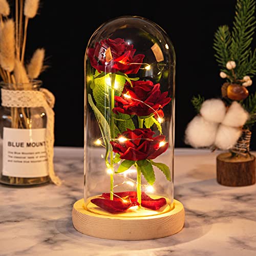 Jooheli La Bella y la Bestia Rosa, Kit de Rosas con Elegante Cúpula de Cristal y Base Pino, Rosa Eterna con Luces LED, Rosa Eterna Regalos para San Valentín/Aniversario de Bodas/Día de la Madre