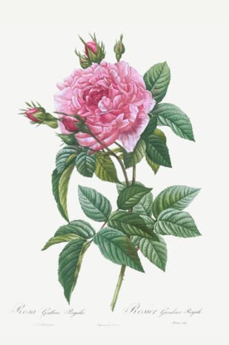 Journaling Notebook - "Gallic Rose" by Pierre-Joseph Redouté: Volume 10 ~ 6x9 Lightly Lined Pages (Journals with Vintage and Contemporary Covers)