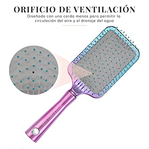 Juego de 3 Cepillos de Pelo - Cepillo de Pelo Profesional Redondo, Cepillo Esqueleto y Cepillo Plano para Todo Tipo de Cabello- Sirena/Multicolor, Lily England