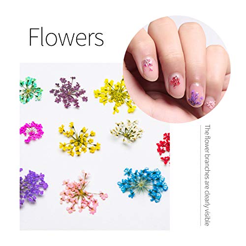 Kit de 3 cajas para decoración de uñas, diseño de flores secas 3D naturales secas de cinco pétalos, margaritas, hojas de Gypsophila con pinzas para manicura, decoración de uñas