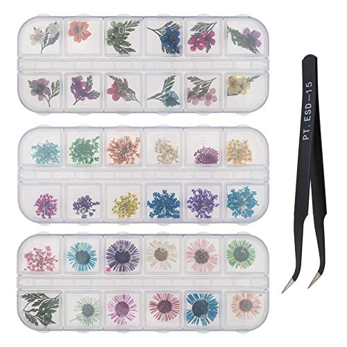 Kit de 3 cajas para decoración de uñas, diseño de flores secas 3D naturales secas de cinco pétalos, margaritas, hojas de Gypsophila con pinzas para manicura, decoración de uñas