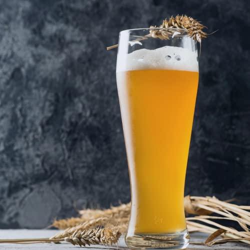 Kit de elaboración de cerveza artesana Pilsen Ale | Con certificado ecológico | Regalo BIO y original