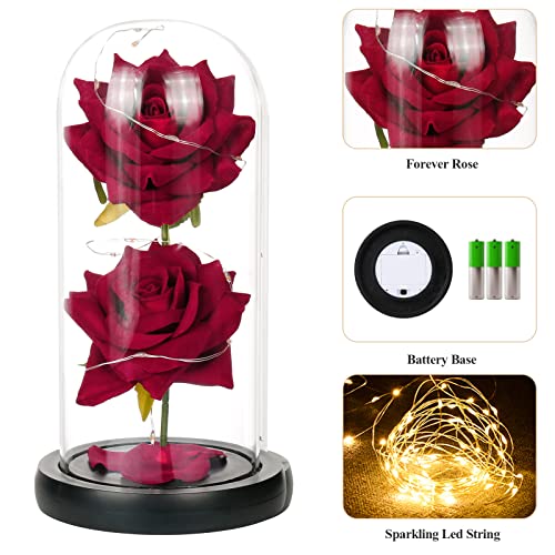 Kit de Rosas, La Bella y La Bestia Rosa Encantada, Cúpula de Cristal con Base Pino Luces LED Rosa Encantada Rosa Rojas Regalo para Día de San Valentín Día de la Madre Aniversario Bodas Cumpleaños (B)