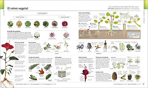 La enciclopedia visual: Naturaleza | Cultura | Ciencia | Historia