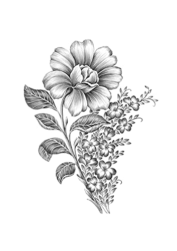 Lámina decorativa de ilustración floral. Flores silvestres en blanco y negro.