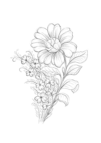 Lámina decorativa de ilustración floral. Flores silvestres en blanco y negro.