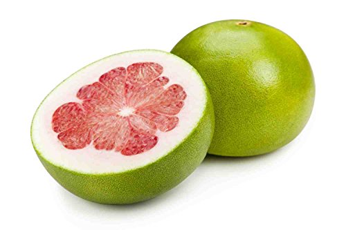 Las semillas de pomelo rojo Citrus Grandis Maxima Pamplemousse Jabong Shaddock 10 PCS