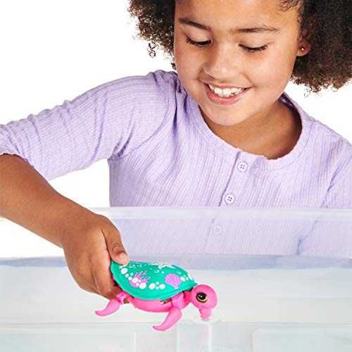 Little Live Pets Lil' Turtle Seashore (Paquete Individual) (Moose Toys 26330)