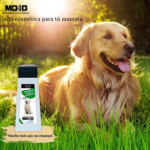 MD-10 COLLECTION Champú Golden Retriever (300 ml)