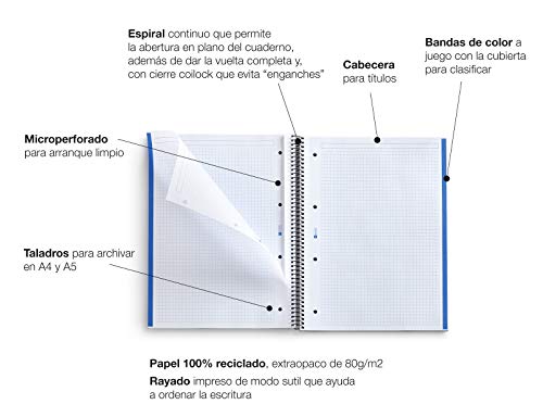 Miquelrius - Cuaderno A4 Cuadriculado Notebook Emotions 100% Reciclado, 1 Franja de Color, 80 Hojas Cuadriculadas 5 mm, Papel 80 g Microperforado con 4 Taladros para 4 Anillas, Cubierta de Cartón, Col