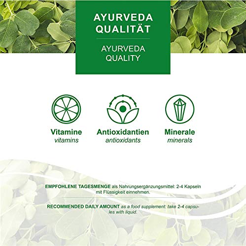 MoriVeda® Moringa Oleifera Cápsulas 600mg, 360 unidades. I Moringa de alta dosis, con vitaminas, proteínas y aminoácidos en ayurveda I Vegano y sin gluten I 3 x 120 cápsulas