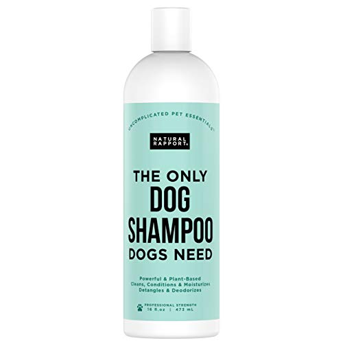 Natural Rapport Champú Natural para Perros y Mascotas – El Único Champú de Perros que tu Perro Necesita - Cham-pú para Perros y Mascotas de Todas las Razas para un Lavado Completo (473 ml)