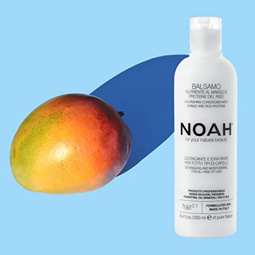 Noé 2.1 Nutritivo Acondicionador con mango y proteínas de arroz 250 ml