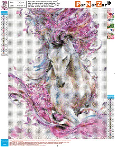 ParNarZar DIY 5D Diamante Pintura por Número Kit, Caballo Rosa 35 x 45 cm, Bricolaje Diamond Painting Rhinestone Bordado de Punto de Cruz Artes Manualidades Lienzo Pared Decoración