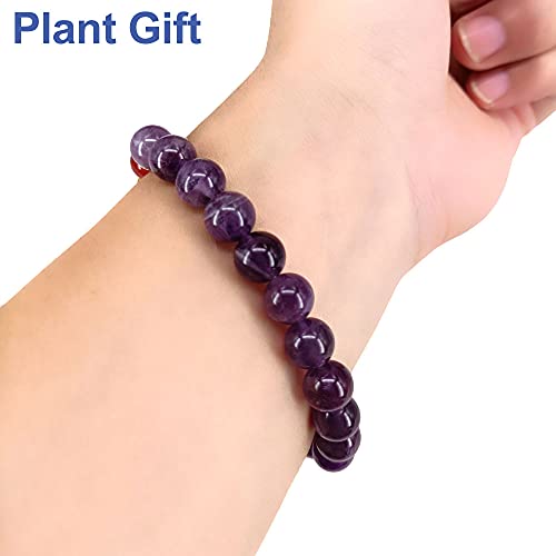 Plant Gift Pulsera de Lava, Beads Pulsera para Hombres Mujeres Pulsera de Yoga, Pulsera de Buda con Piedras Naturales de Lava y Ojo de Tigre y Ónix (Amethyst)