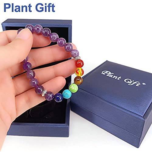 Plant Gift Pulsera de Lava, Beads Pulsera para Hombres Mujeres Pulsera de Yoga, Pulsera de Buda con Piedras Naturales de Lava y Ojo de Tigre y Ónix (Amethyst)