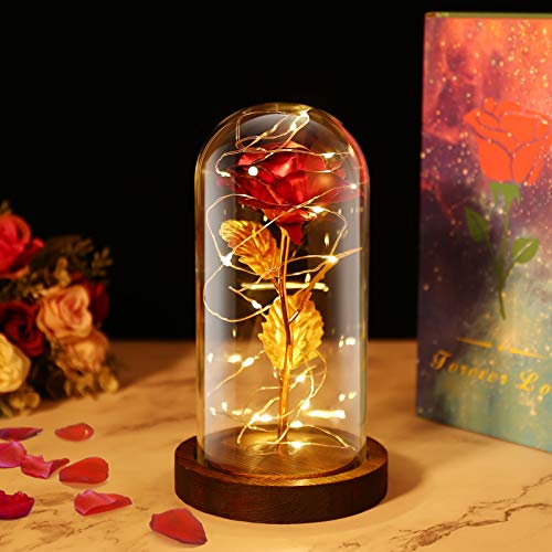 PREUP Rosa Eterna Rosas Bella y Bestia, Elegante Cúpula de Cristal con Base Pino Luces LED Regalos para el Día de San Valentín, Día de la Madre, Aniversario de Bodas, Cumpleaño (Marrones)