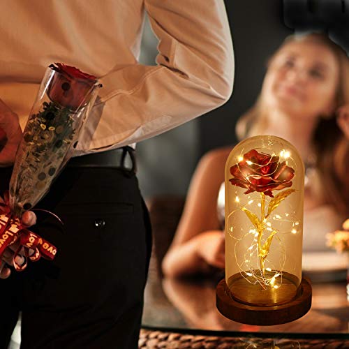 PREUP Rosa Eterna Rosas Bella y Bestia, Elegante Cúpula de Cristal con Base Pino Luces LED Regalos para el Día de San Valentín, Día de la Madre, Aniversario de Bodas, Cumpleaño (Marrones)